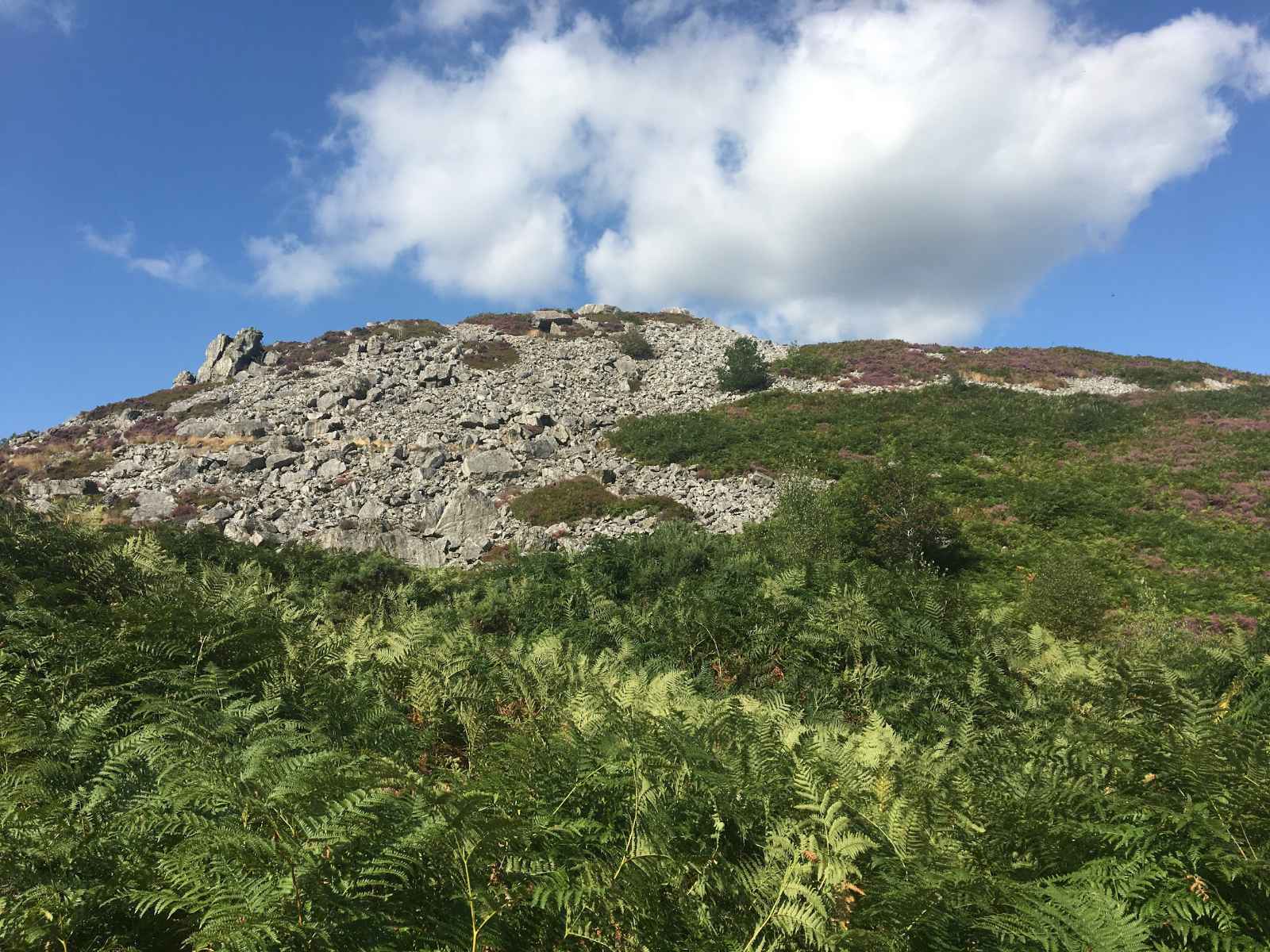 shropshire hills